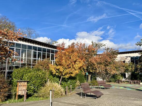 Herbstimpressionen des GMB (2025)