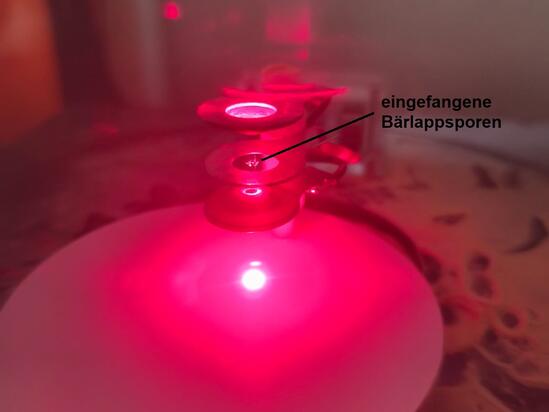 Exkursion zum Schülerlabor „Teilchenfallen“