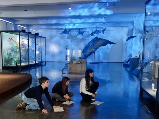 Wirbeltiere im Museum Wiesbaden entdecken