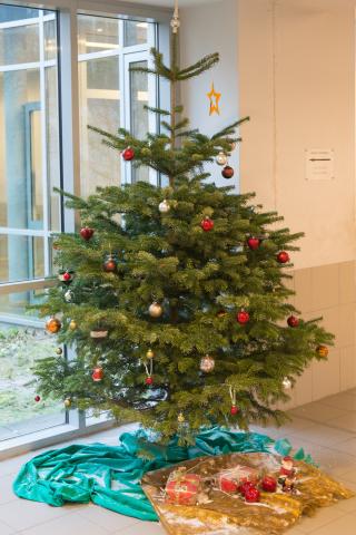 Der Schonste Weihnachtsbaum Gymnasium Am Mosbacher Berg