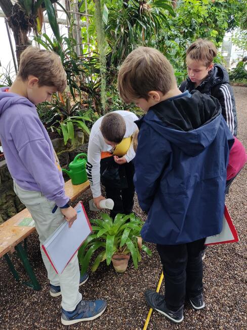 Exkursion der 5b: Grüne Schule (2024)