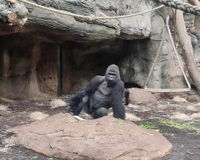 Exkursion des Bio-LKs Q4f in den Frankfurter Zoo