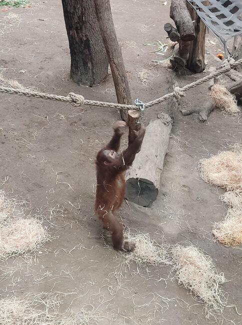 Exkursion des Bio-LKs Q4f in den Frankfurter Zoo