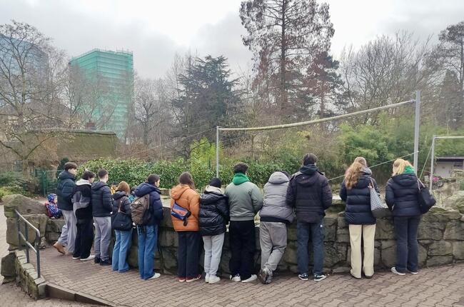 Exkursion des Bio-LKs Q4f in den Frankfurter Zoo