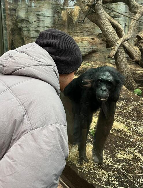 Exkursion des Bio-LKs Q4f in den Frankfurter Zoo