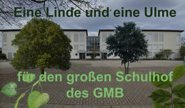 Spendenaktion der ESWE-Versorgung 2025 Spendenaktion der ESWE-Versorgung 2025