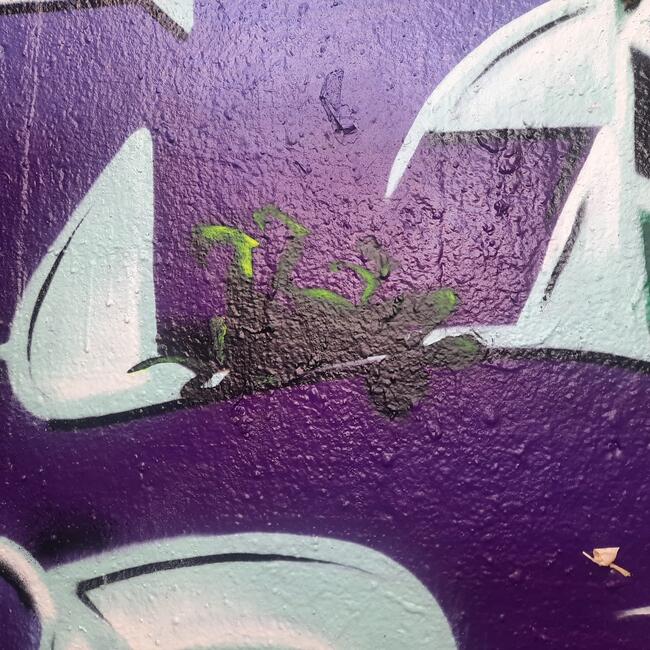 Streetart im Stil von Banksy