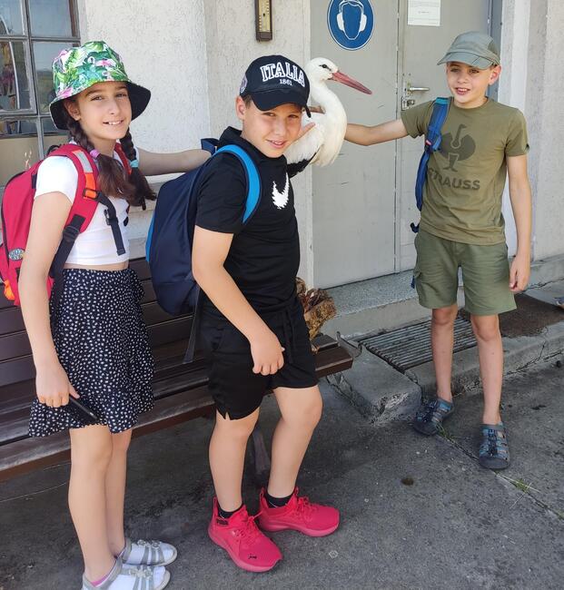 Klassenprojekt der Forscherklasse 5b