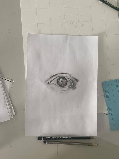 Auge