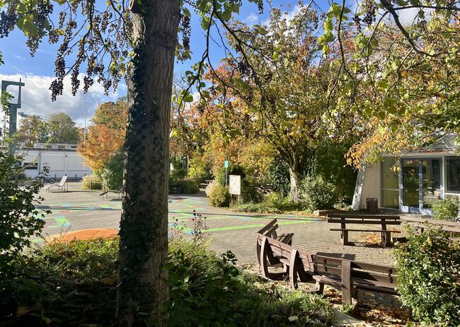 Herbstimpressionen des GMB (2025)