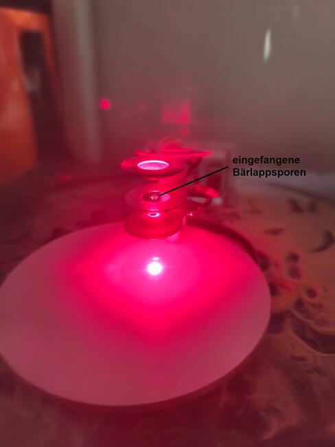 Exkursion zum Schülerlabor „Teilchenfallen“