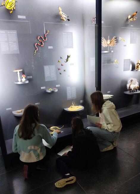 Wirbeltiere im Museum Wiesbaden entdecken