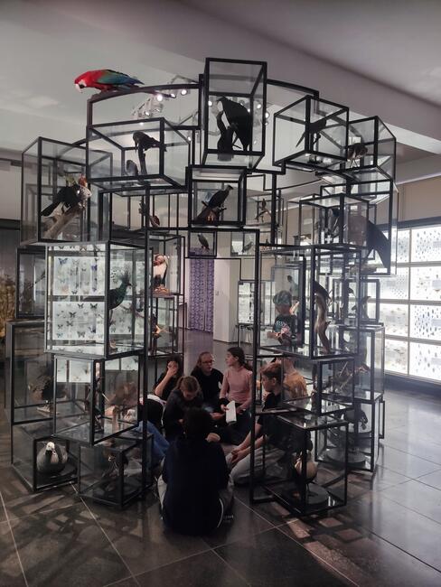 Wirbeltiere im Museum Wiesbaden entdecken