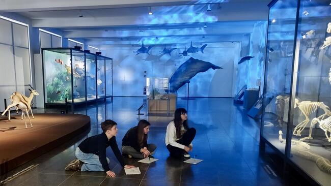 Wirbeltiere im Museum Wiesbaden entdecken