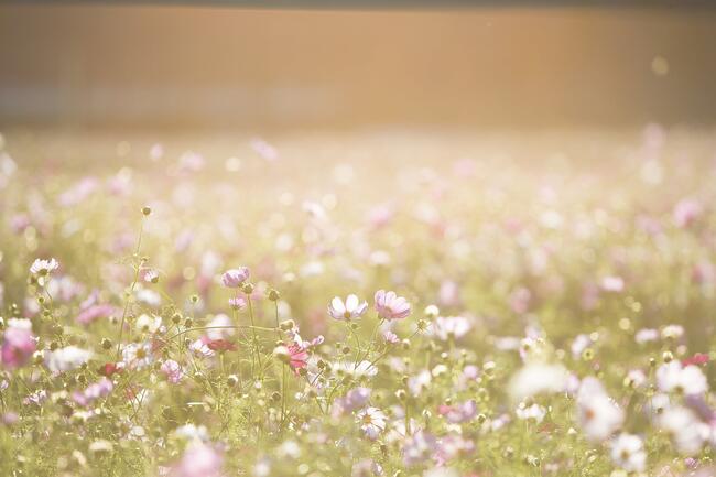In the Summertime