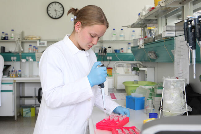 41. Erfinderlabor des Zentrums für Chemie in Marburg (2026)