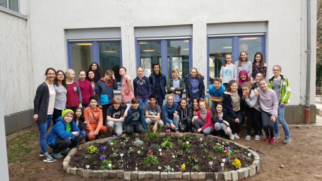 Blumenbeet der Klasse 7a (2017)