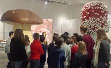 Führung: Pilzausstellung Führung: Pilzausstellung