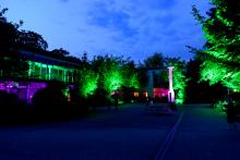 Fest der Sinne 2019 Fest der Sinne 2019