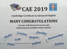 Cambridge Certificate 2019 Cambridge Certificate 2019