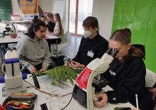 Botanik für Fortgeschrittene Botanik für Fortgeschrittene