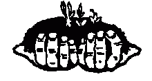 Ocotal Logo