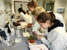 Bioexkursion 2019 Bioexkursion 2019